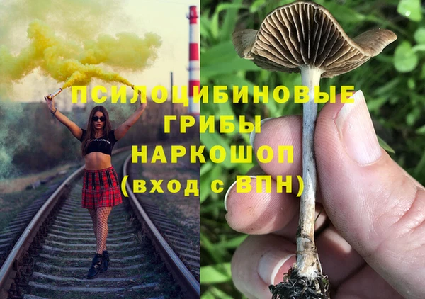 jwh Абаза